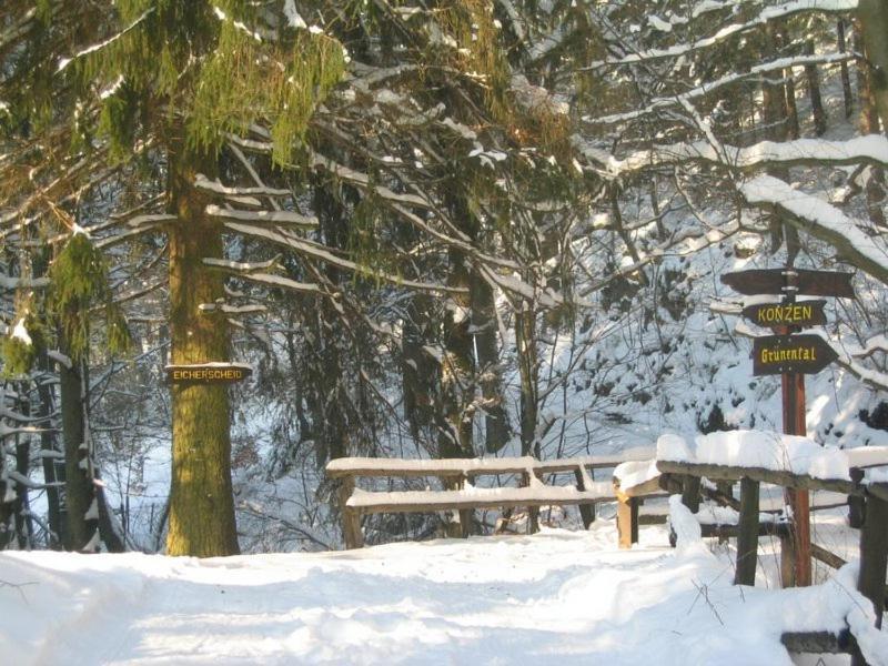 Hotel Haus Gertrud سيمراث المظهر الخارجي الصورة